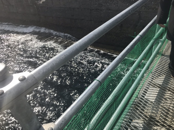 ドルフィン桟橋からの経路